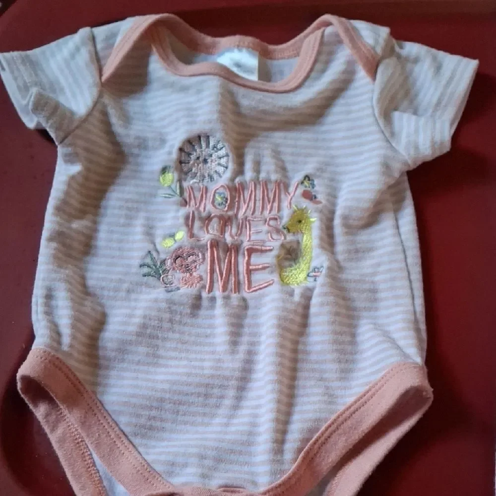 Floral and Striped Bodysuit Collection (Chi115)